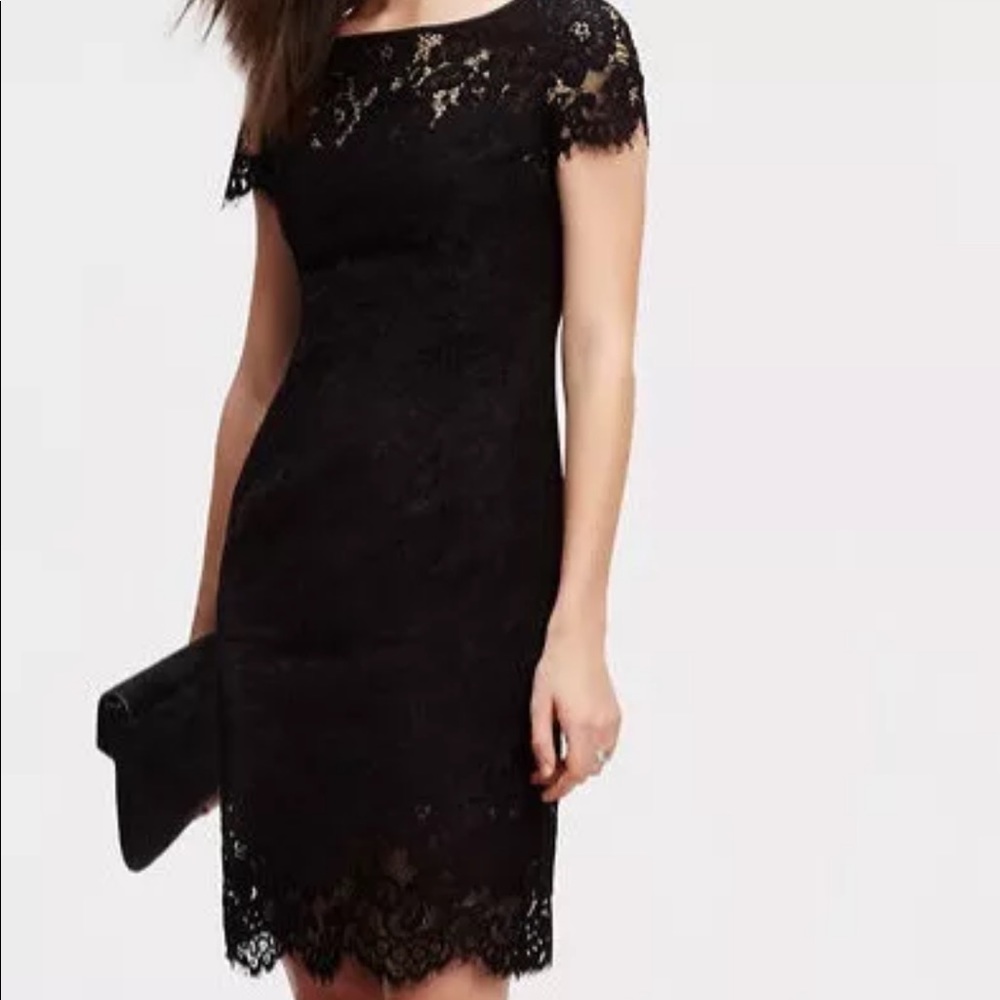 Ann Taylor Tall Lace Sheath Dress Short Sleeve 391029